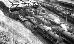 A-crowded-West-Marina-Shed-1948